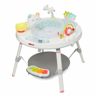 Skip Hop Baby Activity Center