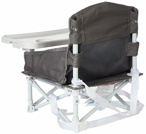 Portable booster seat with tray and straps